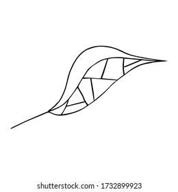 Hoja estilizada de un árbol.Ilustración vectorial botánica.Tinta de dibujo en el estilo de Doodle. Objeto aislado sobre un fondo blanco. Elementos decorativos para el diseño primaveral y veraniego, bodas.
