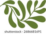 A stylized leafy branch with smooth curves and organic shapes. The illustration presents a flowing plant motif with elegant lines. Cartoon vector illustration.