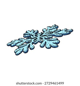 Stylized light blue branching pattern forms a unique snowflake, bringing a cool winter decorative design element with intricate lines and dot details on a clean white background
