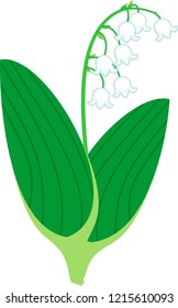 Stylized Lily of the valley or Convallaria majalis with white flowers and two green leaves isolated on white background