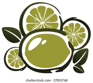 Stylized lime and slices isolated on a white background.