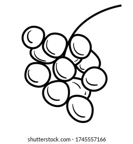 Stylized linear grape icon. Stock vector illustration of a berry for decoration, design, print, labels, packaging.
