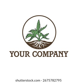 Logo estilizado con una planta de cannabis verde vibrante con raíces visibles, ambientado en un marco circular, que simboliza el crecimiento y los orígenes naturales de una empresa.