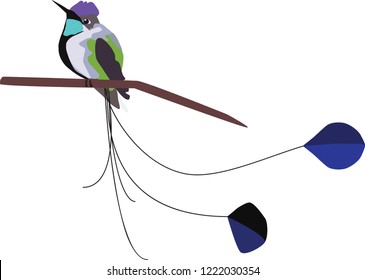 Stylized long tailed bird