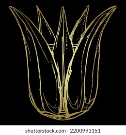 Stylized lotus flower. Ancient Egyptian floral design. Hand drawn linear doodle rough sketch. Golden silhouette on black background. Isolated vector illustration.