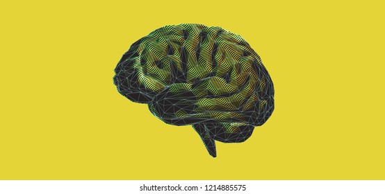 Stylized low poly human brain illustration with colorful curl line art isolated on bright yellow color banner background