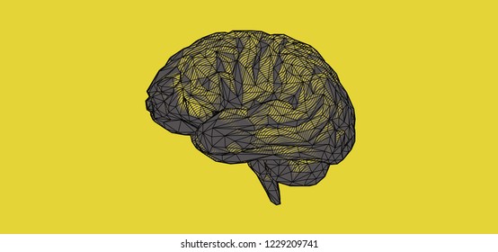 Stylized low poly human brain illustration with curl line art isolated on bright yellow color banner background