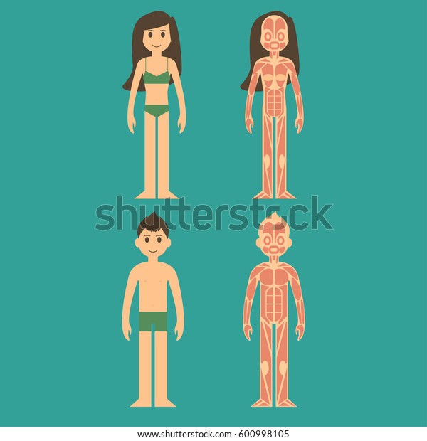 Girl Anatomy Chart