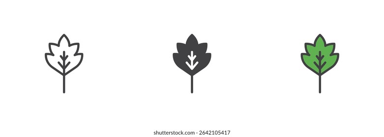 Stylized maple leaf icon in line, solid and filled outline vector style. Colorful plant symbol with vein detail. Leaf icon set for botanical or seasonal themes.