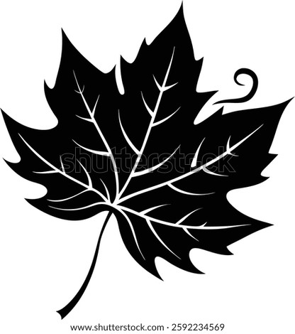  A stylized maple leaf silhouette is featured, with a curly flourish at the end of the stem, giving it a decorative and artistic touch.