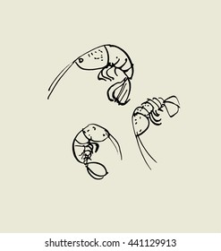 stylized meal icon. shrimp and prawn image. food hand drawn sketch vector illustration.