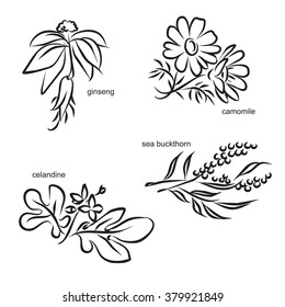 Stylized medicinal plants