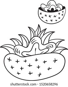 stylized minimalistic decorative vase in lines