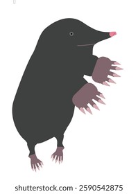 Stylized Mole Illustration, Earth Tones, Wildlife Education