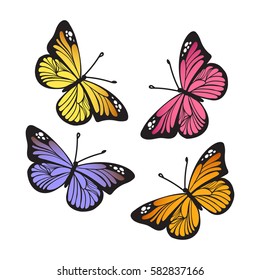 Stylized Monarch Butterflies isolated on white background set. Abstract colored butterfly collection. Vector illustration.