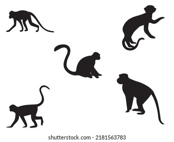 Stylized Monkey Illustration Isolated On White Background Stock Vector Image. Monkey vector