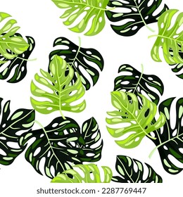 Stylized monstera leaves seamless pattern. Leaf background. Hawaiian rainforest floral backdrop. Exotic jungle plants endless wallpaper. Vector illustration