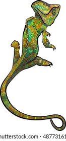 stylized multi coloured Chameleon