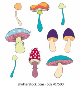 Stylized mushrooms in cartoon style. Vector collection for your design