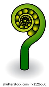 A stylized new fern tip/bud.