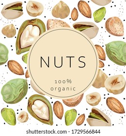 Stylized nuts on a white background and with the text "nuts 100% organic". 
Pistachios, hazelnuts, almonds. Banner, poster, wrapping paper, sticker, print, paper, label. Vector illustration. 