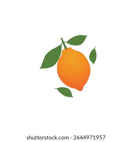 Stylized orange logo vector symbol juice design