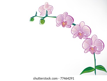 Stylized orchid