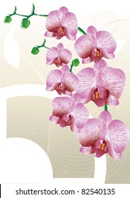 Stylized orchid