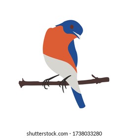 Stylized Oriole bird on a tree branch, vector flat design illustration, for children's books, cards, interior, web and app.