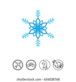 Stylized Ornate Snowflake Icon