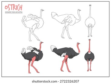 Stylized ostrich illustrations showcasing different poses in a minimalist design with vivid details. Nature concept