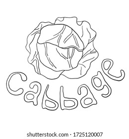 Reparación vectorial de contorno estilizada en líneas negras ilustraciones aisladas. Fondo blanco, vector. Producto vegetariano orgánico. Juego de repollo aplicable al menú o embalaje del restaurante, etiqueta, impresión.
