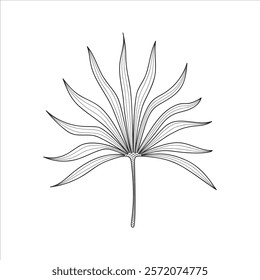 Stylized palm leaf. Tropical vector illustration.