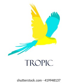 Stylized parrot. Vector tropical bird.