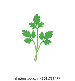 a stylized parsley bunch in soft vector strokes