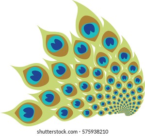 Stylized peacock feathers. Vector feather design.