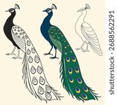 Stylized Peacock Illustrations in Various Forms and Color Combinations for Artistic Designs and Creative Projects