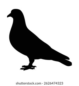 Stylized Pigeon Silhouette Vector Artwork