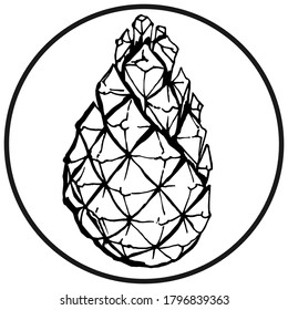 Stylized pine cone illustration in a circle. Hand drawn graphic illustration. 