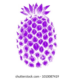 Stylized pineapple sketch tropical fruit for summer design, trendy violet color illustration for packaging, textile fabric print, typography background, etc.