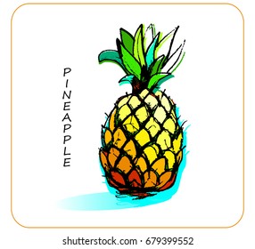 Stylized Pineapple in Vector Bright Isolated object. Funky illustration with a hand drawn Pineapple fruit