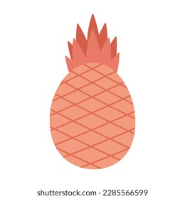 Stylized pineapple. Vector illustration on white background.