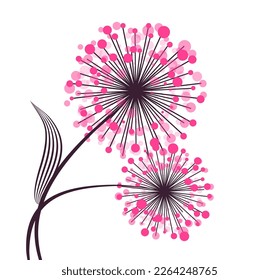 Stylized pink dandelion flowers. Vector illustration