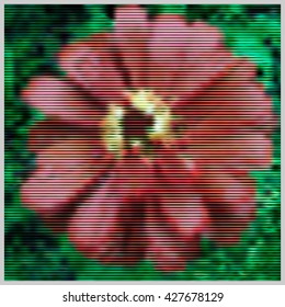 Stylized pink flower. Abstract floral background. Vector illustration