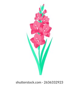 Stylized Pink Gladiolus Flower Spike Illustration