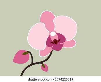 A stylized pink orchid with a bud and leaf, set against a muted background