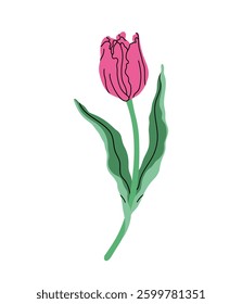 Stylized pink tulip illustration. Wavy green leaves in modern minimalist design. Botanical artwork for wall art, invitation, greeting card, floral branding. Vector illustration in flat elegant style.