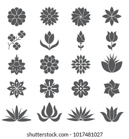 Stylized plants and flowers for different design projects. Monochrome plant and flower blossom, sketch botany bloom. Vector illustration