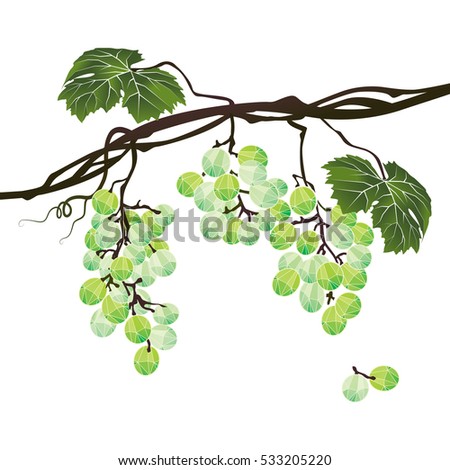 Stylized polygonal branch of green grapes on white background