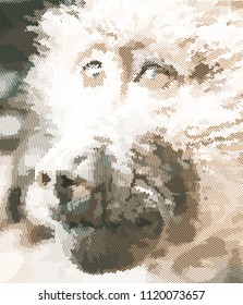Stylized portrait of baboon monkey in halftone vector